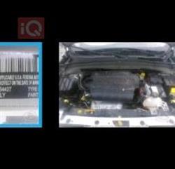 جیپ رێنێگەید